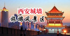 日韩操B中国陕西-西安城墙旅游风景区