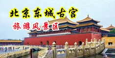 一男一女互艹免费中国北京-东城古宫旅游风景区